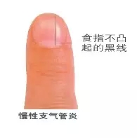 028.webp.jpg