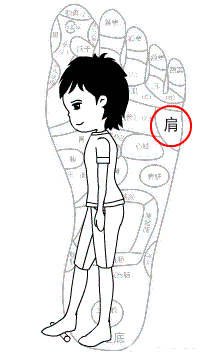 0 (7).gif