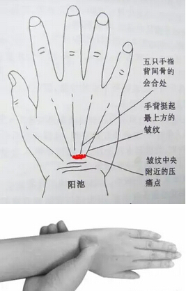 20151112140637.jpg