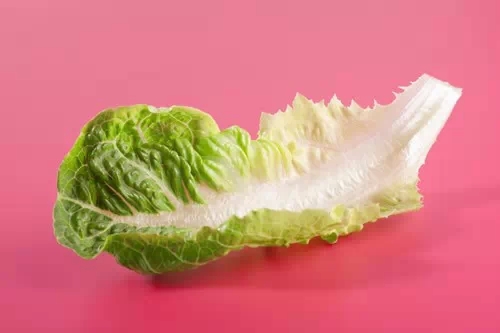 059.webp.jpg