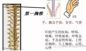 20151102152552.jpg