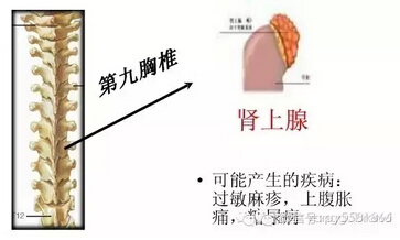 20151102152725.jpg