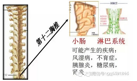 20151102152804.jpg