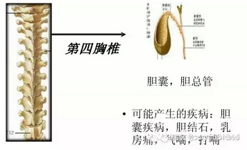 20151102152629.jpg