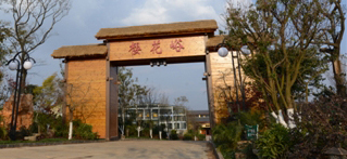 111.jpg