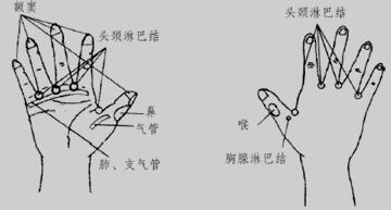 20170217145009.jpg