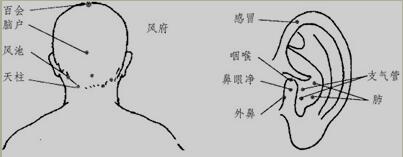20170217144940.jpg