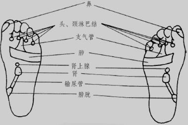 20170217145034.jpg