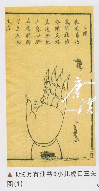 小儿虎口三关图（1）