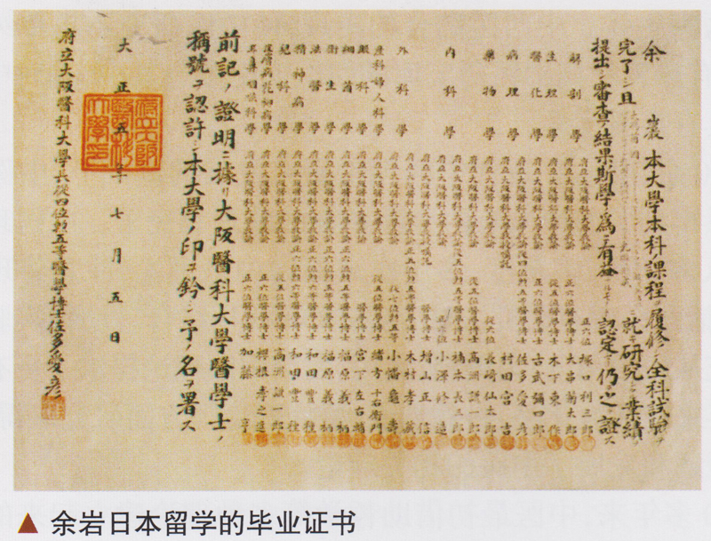 陶组