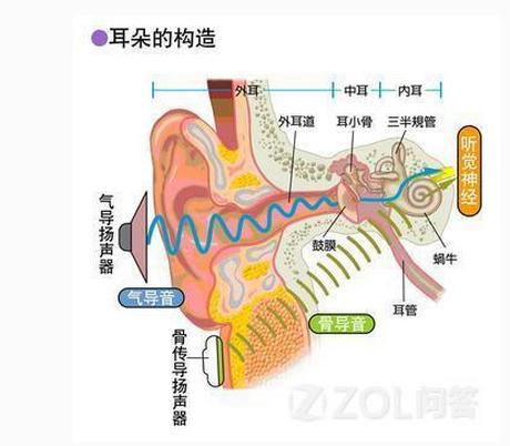 声音的传导