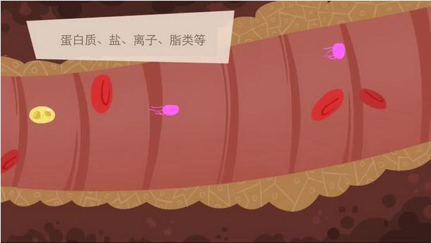 血液如何凝结