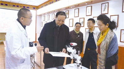 王国强赴西藏调研藏医药发展