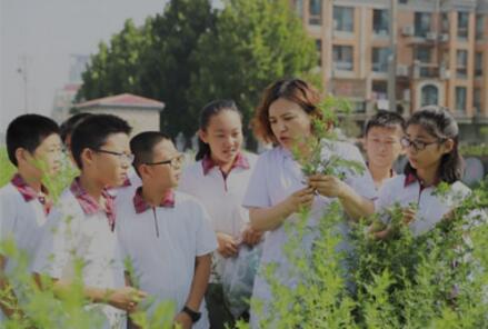 图为该中心中药师在教学生辨识中药