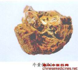 　　牛黄伪品(1)——猪黄(Zhuhuang)【来源】野猪科(Suidae)动物猪Sus scrofa domestica Brisson干燥的胆囊或胆管结石。【性状】多为类球形，直径1～4cm。重量多在30g以下。表面黄至暗红褐色。体轻，质松脆，断面金黄至红褐色，具同心层纹。气微臭，味苦而后微甘，微有清凉感。【鉴别】1.按牛黄鉴别项①～③试验法。①在230、278um波长处有吸收肩峰，吸收度大于0.5。②在约1663、1625、1568cm的-1次方处出现3个较强的特征吸收倒峰。③本品供试液在与对照液Ⅰ、Ⅱ相应的位置上，显相同颜色的斑点(Ⅰ显紫红色;Ⅱ显褐绿色)。 2.取本品粉末约10mg，加甲醇2ml，搅匀，于温水浴中振摇20分钟，滤过，取滤液置水浴上挥干，残渣加甲醇1ml使溶解，作为供试液;另取去氧胆酸(Ⅰ)、鹅去氧胆酸(Ⅱ)、熊去氧胆酸(Ⅲ)、猪去氧胆酸(Ⅳ)和胆酸(Ⅴ)对照品各适量，各加甲酸制成每1ml中含1mg的溶液，依次作为对照液Ⅰ、Ⅱ、Ⅲ、Ⅳ、Ⅴ。照薄层层析法(《中华人民共和国药典1990年版一部》附录57页)试验，吸取上述六种溶液各5～10μl，分别点于同一含有0.5%羧甲基纤维素钠为粘合剂的硅胶G薄层板上，以正庚烷(或异辛烷)-乙醚(或异丙醚)-冰醋酸-正丁醇-水(10：5：5：3：1)为展开剂，展开，取出晾干，喷以30%硫酸液，在100C烘约8分钟，即于可见光和紫外光灯(365nm)下检视，结果供试液在与对照液Ⅱ、Ⅳ、Ⅴ相应的位置上，显相同颜色的斑点，但在与对照液Ⅰ、Ⅲ相应的位置上，无对应斑点。