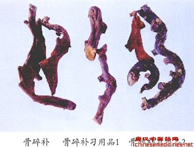 骨碎补（Gusuibu）Rhizoma Drynariae         [来源]    水龙骨科（Polypodiaceae）植物槲蕨Drynaria fortunei（Kze.）J.Sm.的干燥根茎。         [性状]    扁平条状，多弯曲，长4-15cm，宽2-5mm。表面浅棕至棕褐色，密被柔软的黄棕色小鳞片，边缘有睫毛，有的经火燎已无鳞片；两侧和上表面均具凸起或凹下的圆形叶痕。体轻，质脆，易折断，断面红棕色；平整切断面可见多数黄色点状维管束，排列成环。无臭，味淡、微涩。