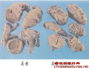 姜黄（Jianghuang）Rhizoma Curcumae Longae         [来源]    姜科（Zingiberaceae）植物姜黄Curcuma longa L.的干燥根茎。         [性状]    不规则卵圆形或圆柱形、纺锤形，略弯曲，有的有叉状分枝，长2-5cm，直径1-3cm。表面棕黄至淡棕色，粗糙，有皱缩纹理和明显环节；并有点状凹陷的须根痕和圆形侧生根茎痕，有的残存短须根。除去外皮者呈黄色。质坚实，不易折断，击破面棕黄至金黄色，角质状，具蜡样光泽；断面内皮层环纹明显，维管束点状散在。气香特异，味苦、辛，咀嚼可使唾液染成黄色。         以质坚实，断面金黄色，气味浓者为佳。         [鉴别]    1.取硫酸与乙醇各一滴，置点滴板中，加入本品粉末少许，粉末变为紫红色。         2.取本品粉末少量，置滤纸上，滴加乙醇和乙醚各1滴，待干，除去粉末，滤纸染成黄色；加热硼酸饱和溶液1滴，则渐变为橙红色；再加氨试液1滴，则变成蓝黑色，后渐变为褐色，久置，则又变成橙红色。 