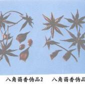 八角茴香伪品（2）——莽草（Mangcao）     【来源】 木兰科（Magnoliaceae）植物披针叶八角 lllicium lanceolatu A．C．Sm．的干燥果实。     【性状】 通常由10～13个大小不等的骨突组成多角形星芒状聚合果，直径3．8～4．2cm。每个骨突15～20mm，宽8～12mm，顶端长渐失而向内弯曲成倒钩状，果皮较薄；外表面红褐色，背面粗糙，沿腹缝开裂。弯曲的果梗长3．5～6Cm。每个骨突种子1粒，扁卵形，长8mm，宽6mm，厚2mm，棕褐色，平滑有光泽，一端有种脐，另端有合点，中间有狭长的种脊相连。种脐旁有珠孔，种皮质脆，内含种仁。气弱而特异，味淡，久尝有麻舌感。有剧毒。