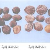 乌梅混淆品（2）——杏（Xing）     【来源】 蔷薇科（Rosaceae）植物杏 Armcniaca vulgaris Lam.的干燥果实。      【性状】 扁球形或扁椭圆状，直径15～20mm。表面灰棕或黑棕色，略皱缩，被短绒毛。果肉不易剥离。果核扁球形，直径10～16mm，麦面较光滑。气微，味酸。     【鉴别】     1．外果皮细胞呈多角形呈多被角质层，非腺毛基部的表皮细胞外被角质层，常呈放射状纹理。非腺毛单细胞，偶见分隔，基部膨大成头状或三角形，具纹孔和孔沟，几无色，壁厚，有的表面具螺旋状角质层纹理。种皮石细胞单个散在，黄色，纹孔、孔沟明显，有的纹孔大小不等，壁较薄。     2．取本品果肉1．5g，加乙醇15ml，研磨后过滤；取滤液2ml，水浴上蒸干，加入新配制的吡啶醋酐（3：1）液约3ml，显橙红色。