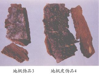 地枫皮
