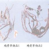鸡骨草伪品（1）——假鸡骨草（Jiajigucao）     【来源】豆科（Leguminosae）植物Desmodium sp．的干燥全株。     【性状】根呈圆锥状，长7～15cm，直径2～7mm，表面紫黑色，木部发达。茎不绕曲，长10-30cm或更长，直径0．5～2mm；表面紫褐或淡棕色，小枝和叶轴浅棕色，被短柔毛。双数羽状复叶，叶轴顶端有一小尖头，小叶3对，倒卵形，长2．5～3．5mm；宽1.5～2.5mm；顶端钝而有小突尖，基部圆形，浅黄棕色；下面疏被短柔毛，侧脉每边4～5条，网脉明显；有的小叶多已脱落而只见叶轴，托叶极小；小叶柄极短、被短柔毛。气微，味淡。