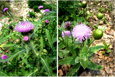 20140709094635.jpg
