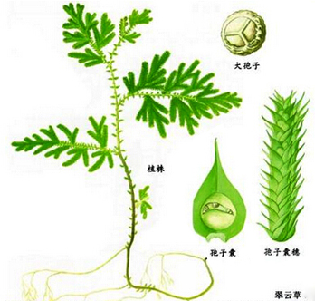 20150819140809.jpg