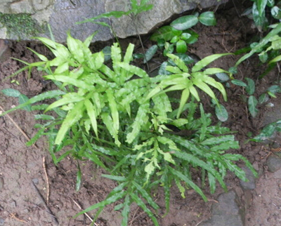 20150819140455.jpg