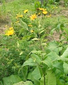 20150925095626.jpg