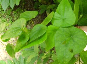 20150925100255.jpg