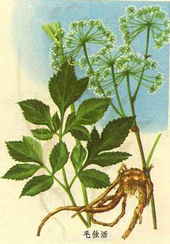 20150925093808.jpg