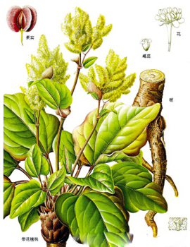 20150925145750.jpg