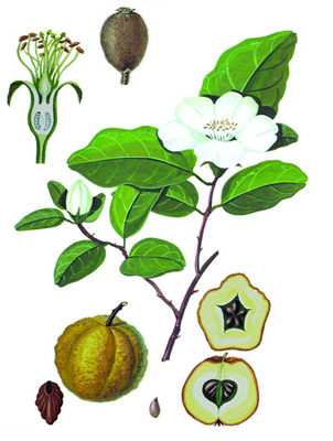 20150519141021.jpg