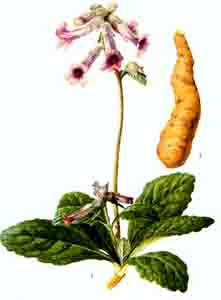20100424235436263.jpg