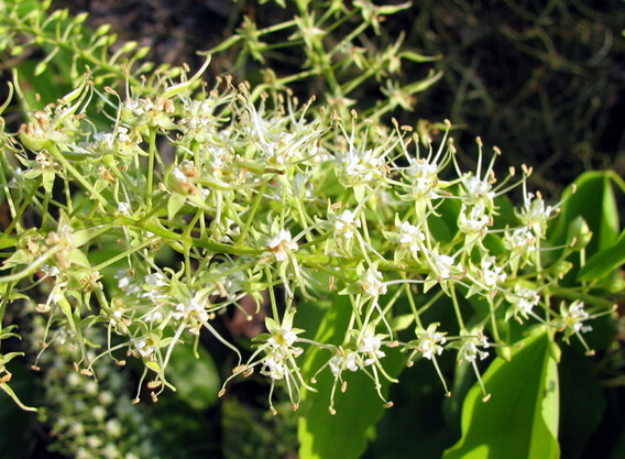 20150604144809.jpg