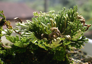 201021791646635.jpg