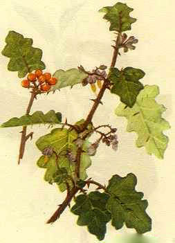 2012112723510058.jpg