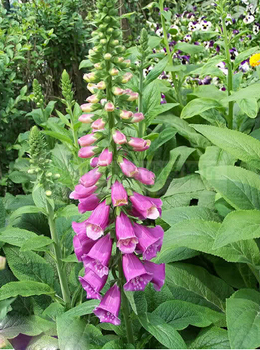 20150626143909.jpg
