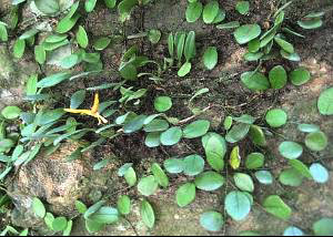 20101115130510.jpg