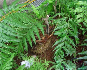2013061812233885.jpg