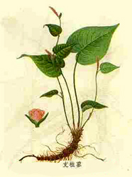2009041309353138.jpg