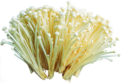 金针菇
