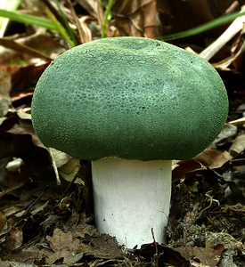 20120331234918.jpg