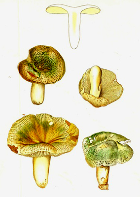 20111229205516.jpg