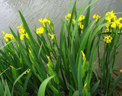 20130613151855.jpg
