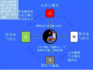 宋柏杉:从广义少阳病证治谈中医根本