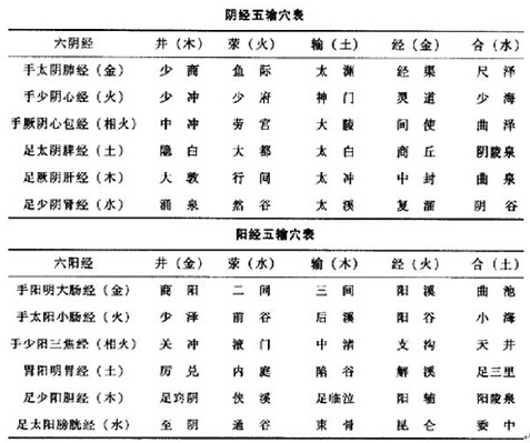 易学在中医中的运用讲座之第五期 周易与针灸